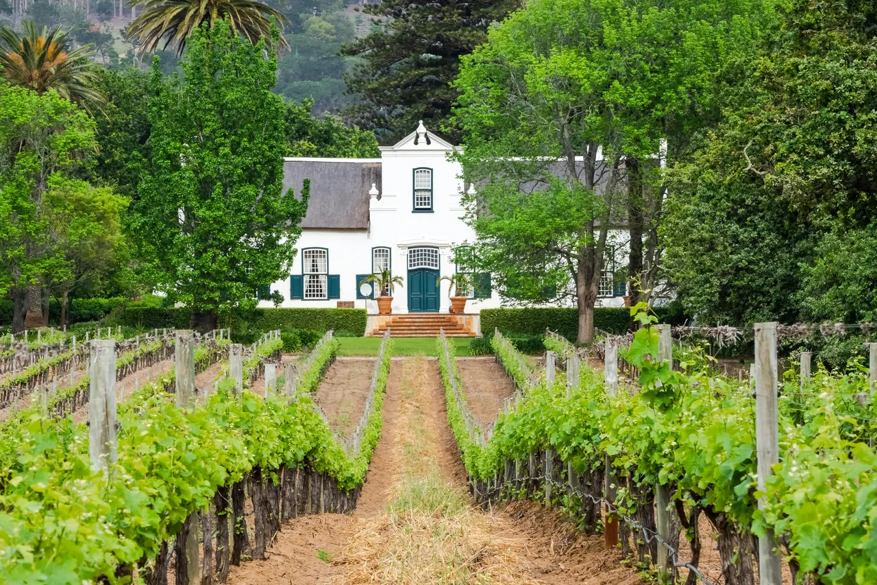 A wine farm near Cape Town